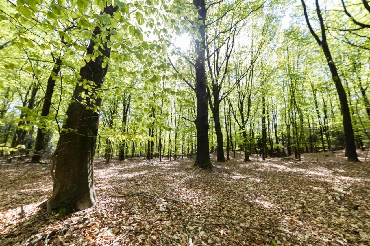 Resort Brinckerduyn Appelscha Zewnętrze zdjęcie